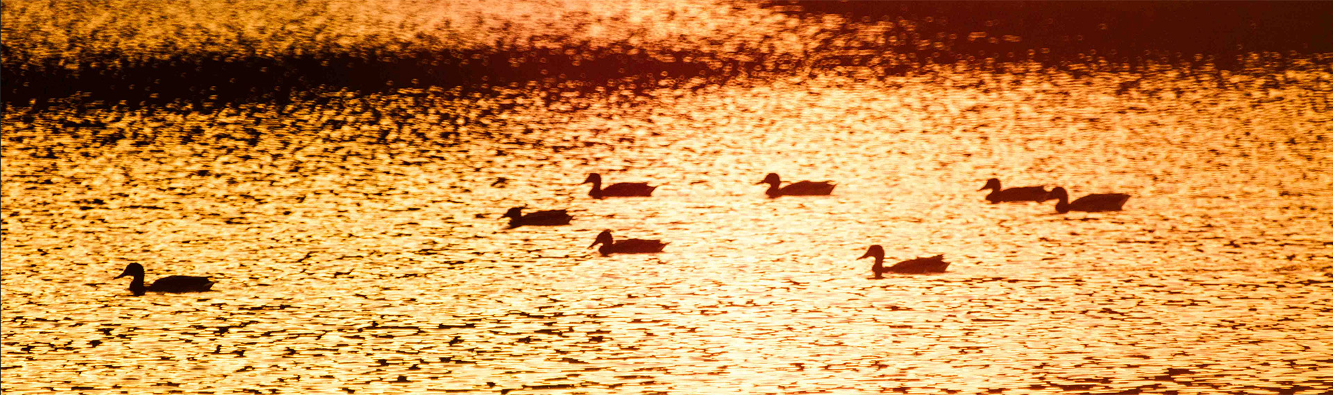 腾博汇游戏官网·(中国)专业效劳,诚信为本